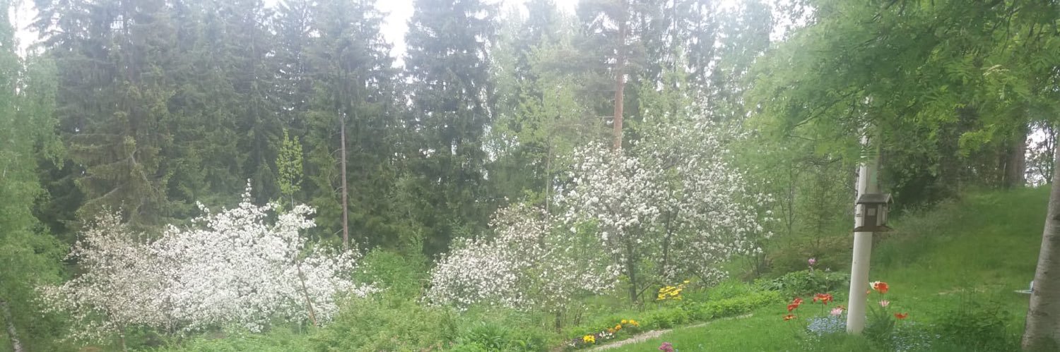 kumpulainen's profile banner image