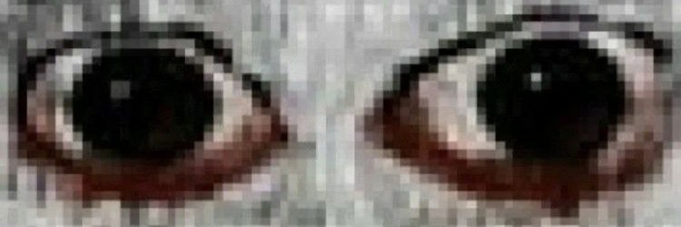 realmoakk's profile banner image