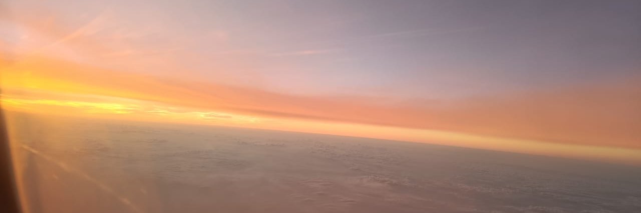 aripingaley's profile banner image