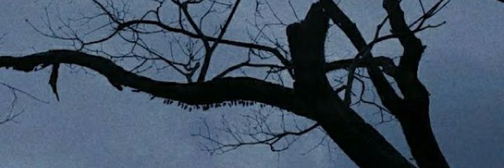 juh_rbt's profile banner image