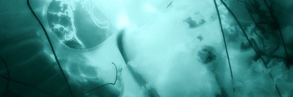photochem_mdpi Profile Banner