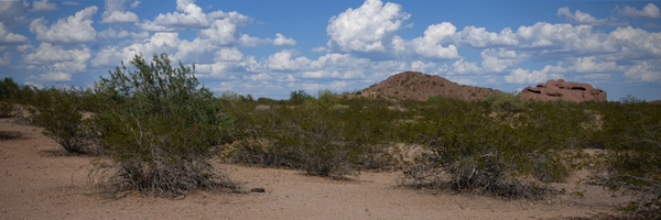 DeanMueller Profile Banner