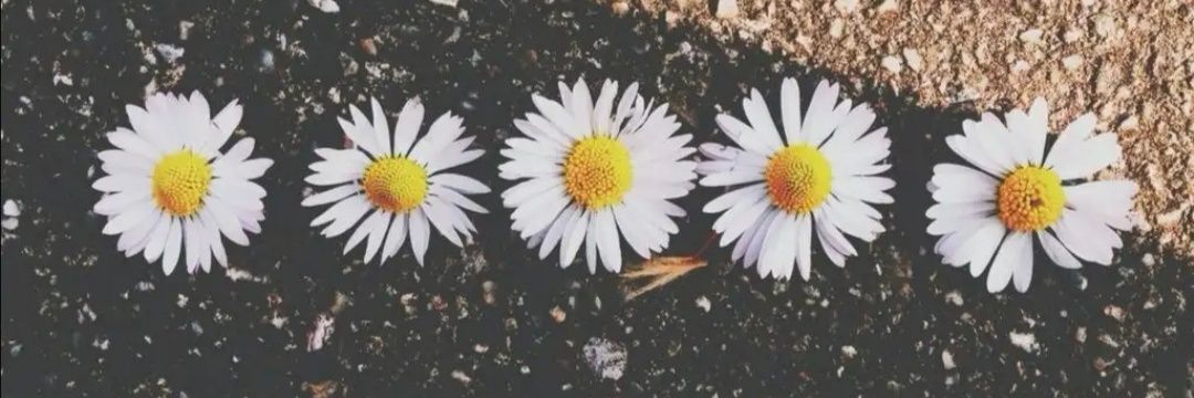 alexdaszewski's profile banner image
