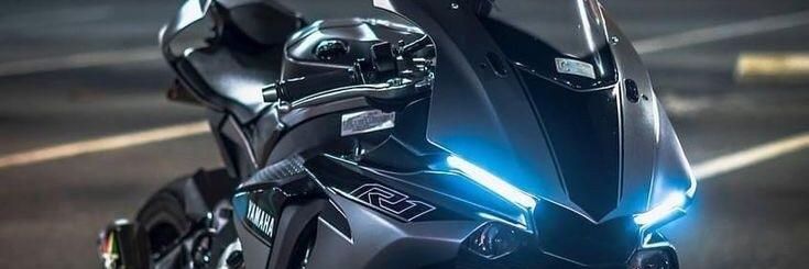 Dominic 🦺🐾 banner