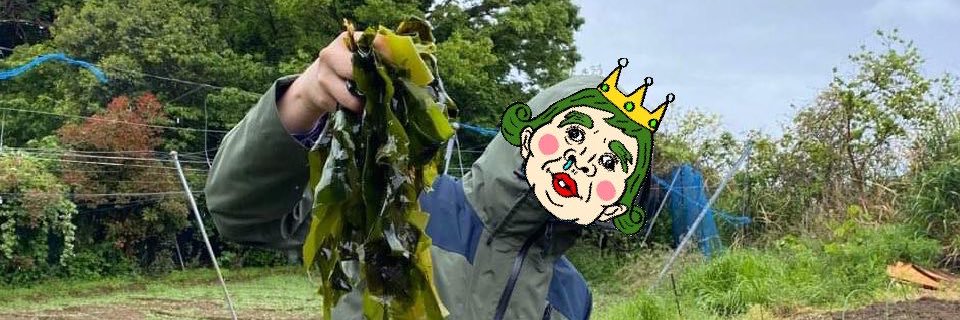 tomimotsar's profile banner image