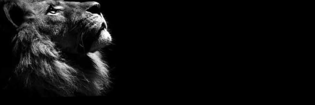 卄eisenʙɛʀg banner