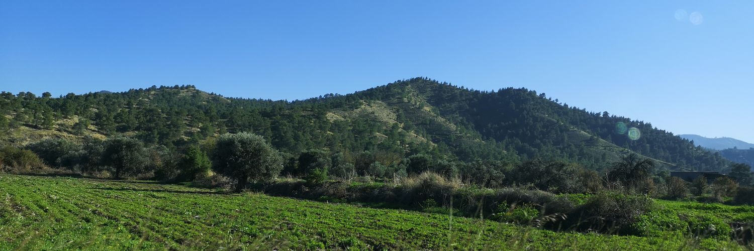 Τέως Επίτροπος ΑΟΚ - Κ. Χαμπιαούρης banner