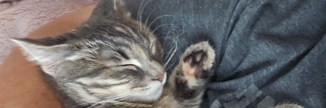 08Jase13's profile banner image