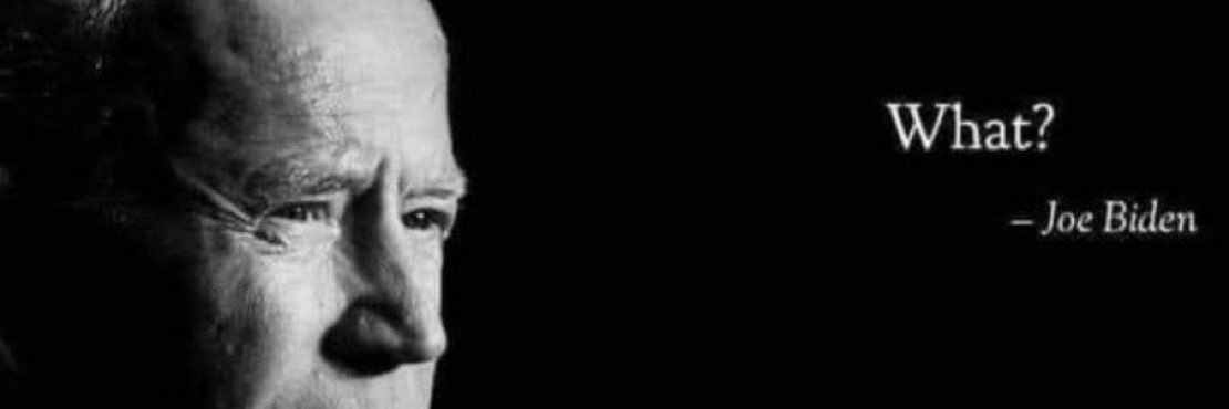 Homolander banner