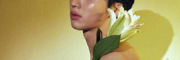tigerlilysss Profile Banner
