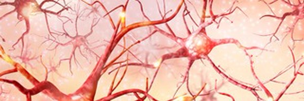 GiuliaPetrillo9 Profile Banner