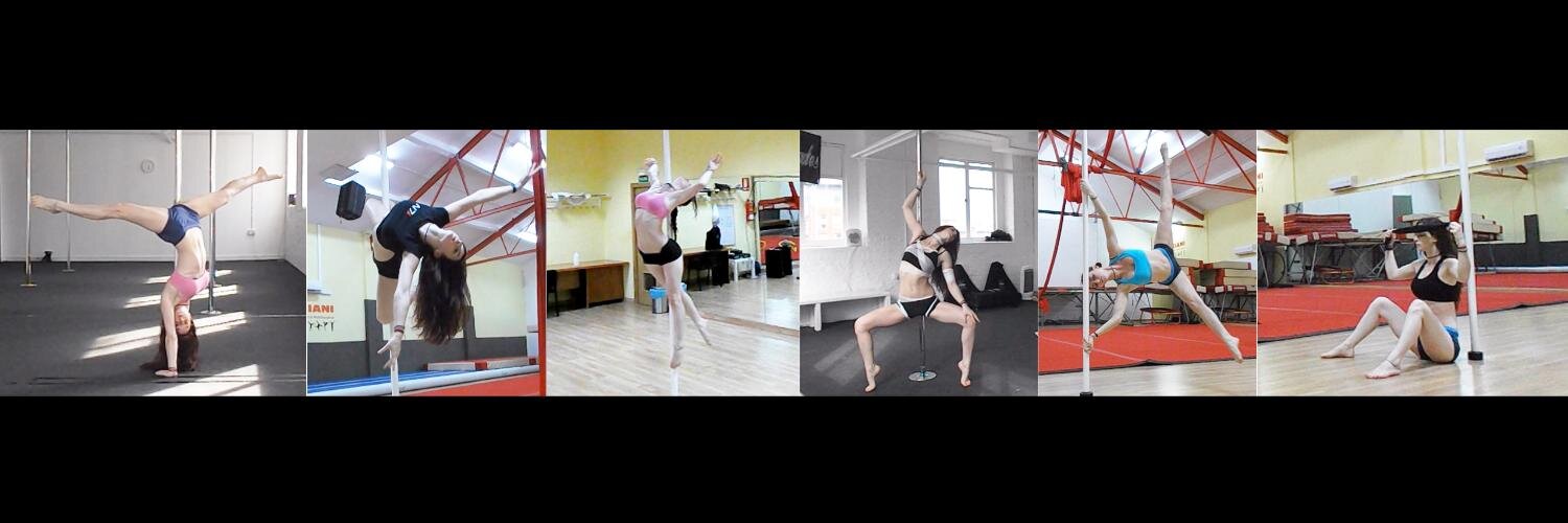 PoleFiction's profile banner image