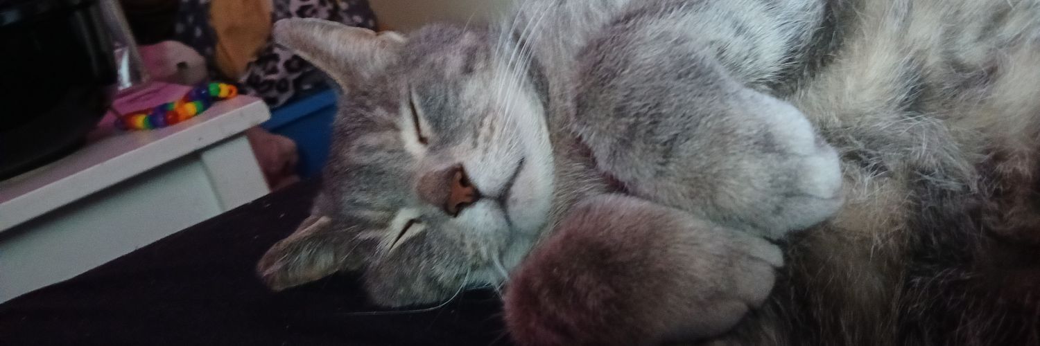 Z0mb1rexic's profile banner image