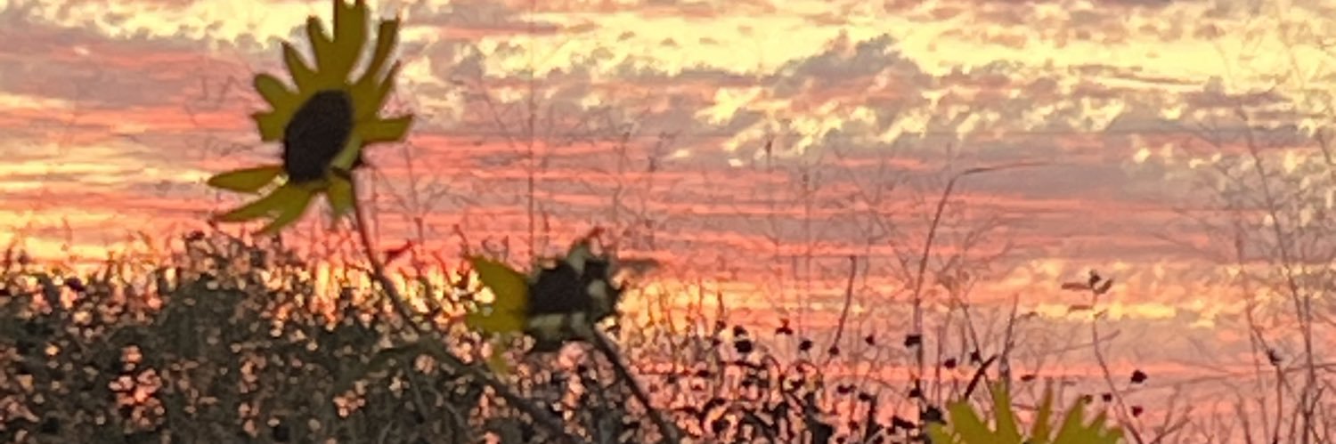 lizzylime1's profile banner image
