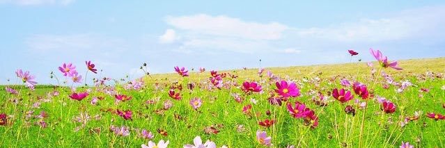 ブレンディ🌸5/16(土)双極の集いin新宿 banner