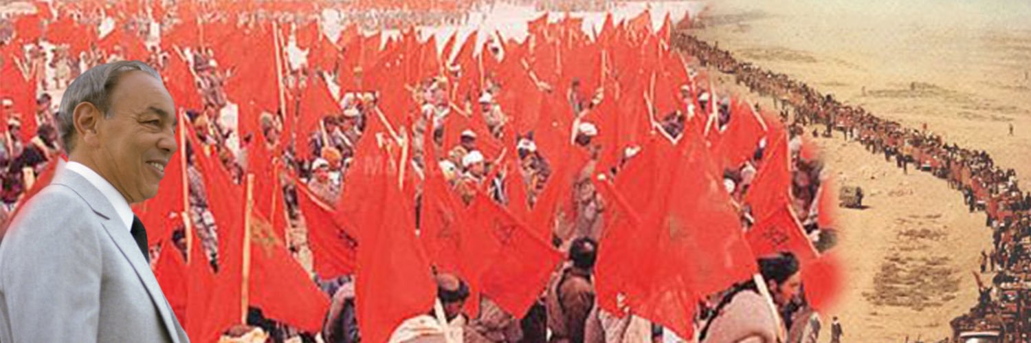 Nadine Mook banner