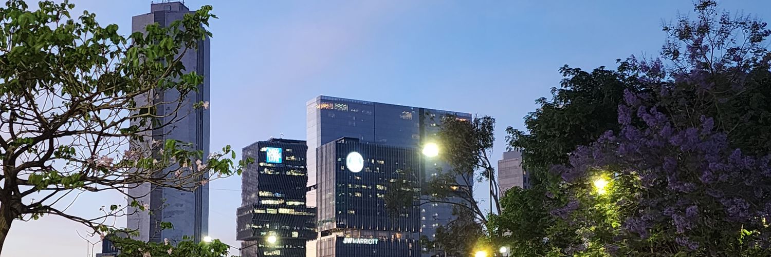 GRUPOFORESTY's profile banner image