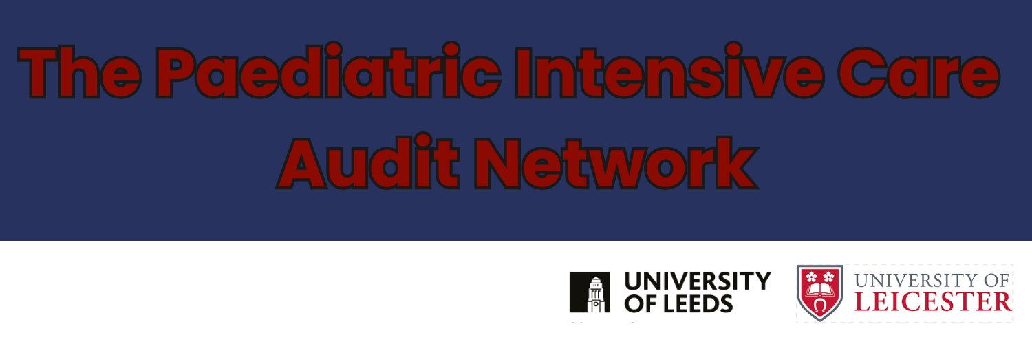 PICANet Audit's banner