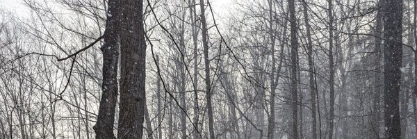 CarlJF Profile Banner