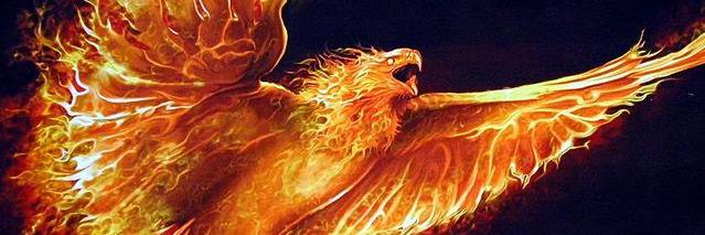 Archie111478's profile banner image
