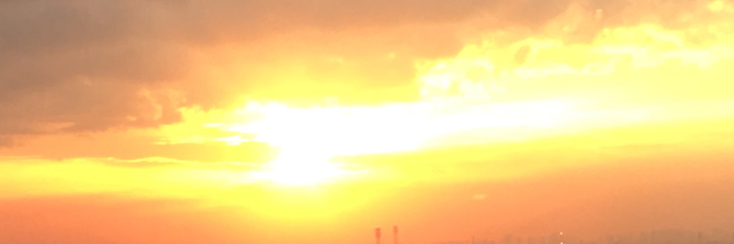 nektonc's profile banner image