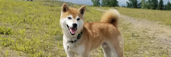 mike_close Profile Banner