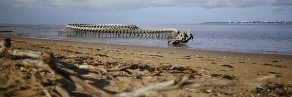 RedureauDamien Profile Banner