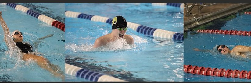 Hot Springs Swim banner
