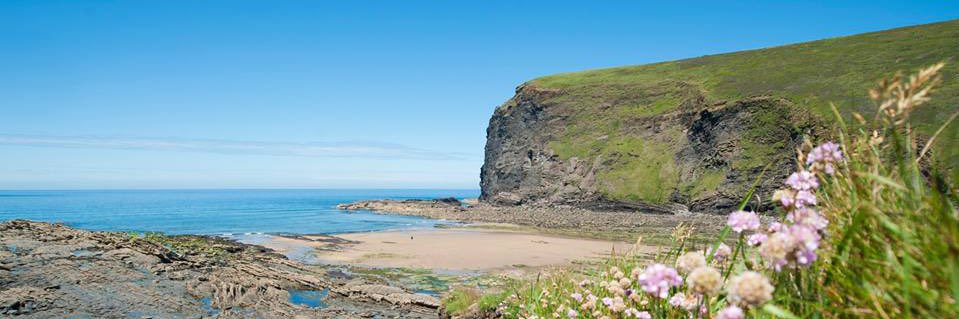 Angela Johnson banner