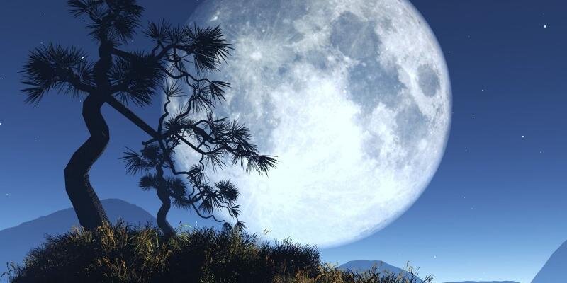 13burc_'s profile banner image