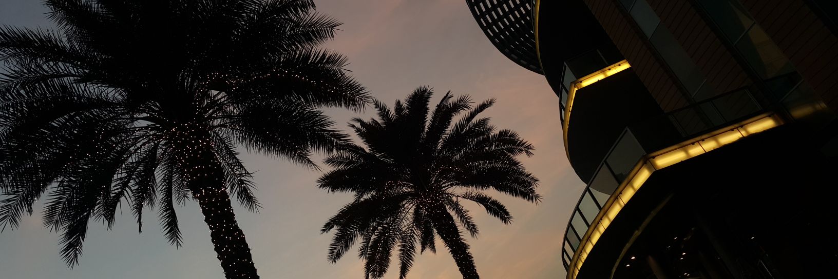 iamSchwifty's profile banner image