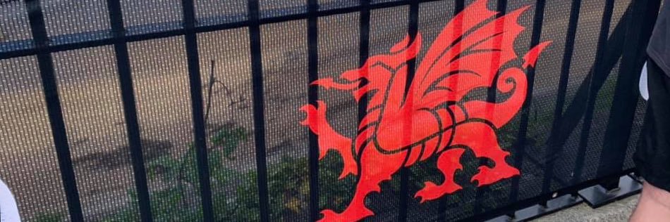 Jess Parry-Williams banner