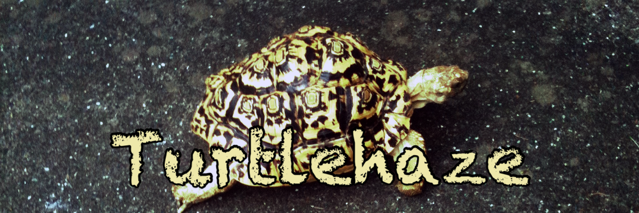 AKIO_GOTO's profile banner image