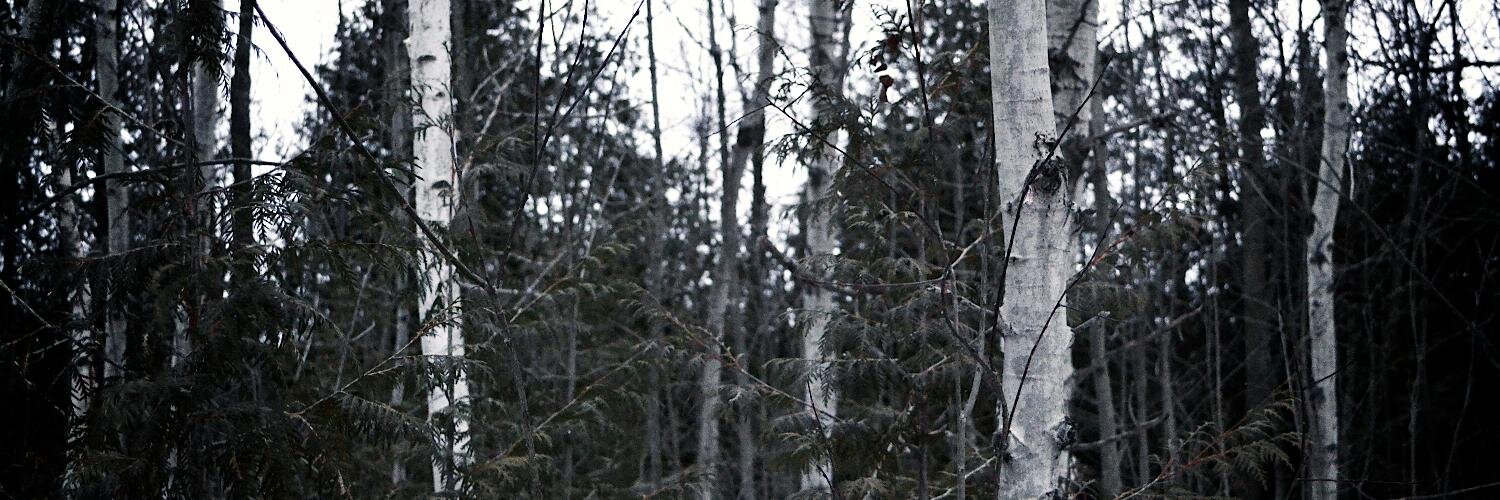JulianLepinski's profile banner image