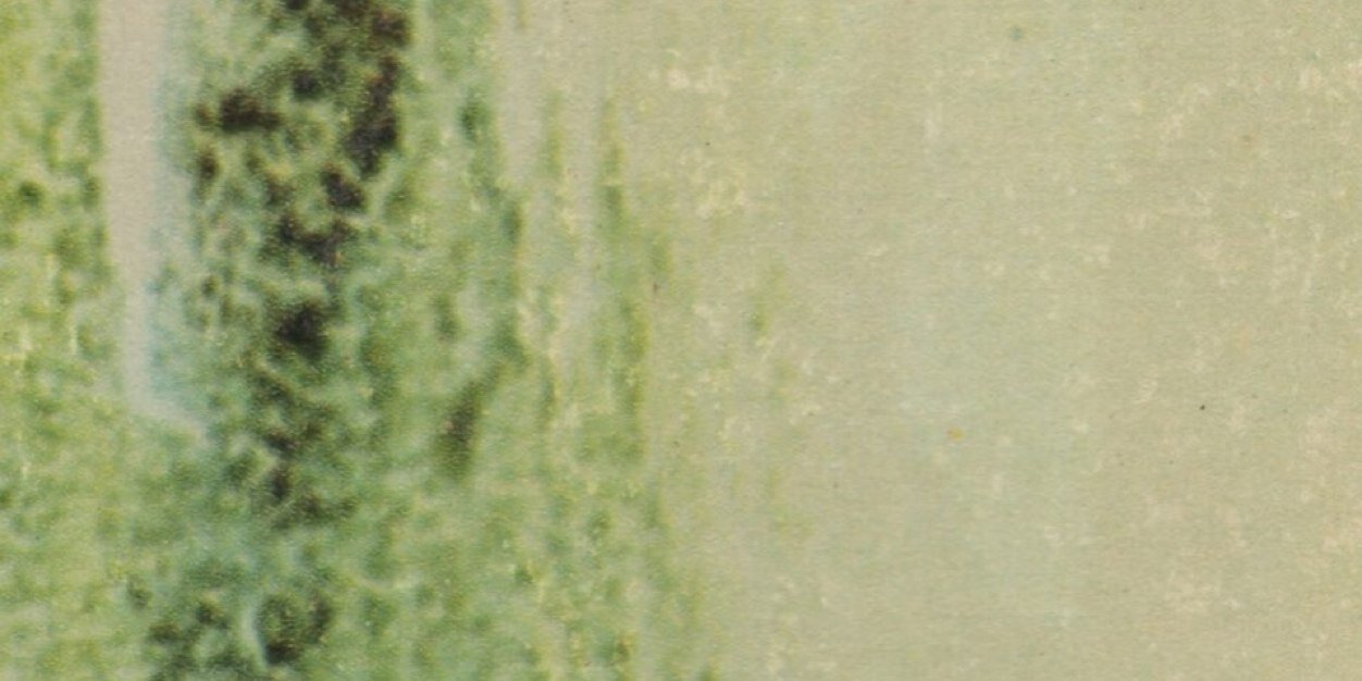 mttscttln's profile banner image