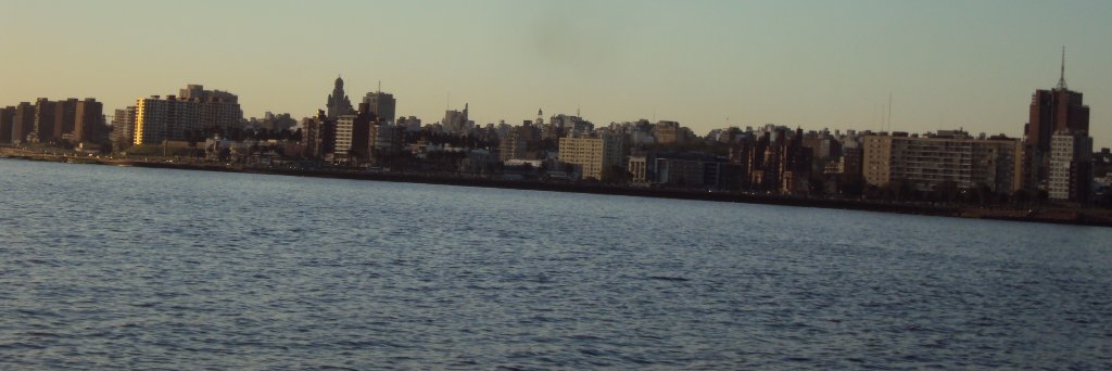 AnaRicohn's profile banner image