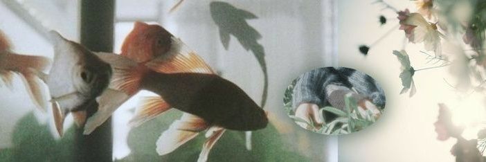 winniolo's profile banner image