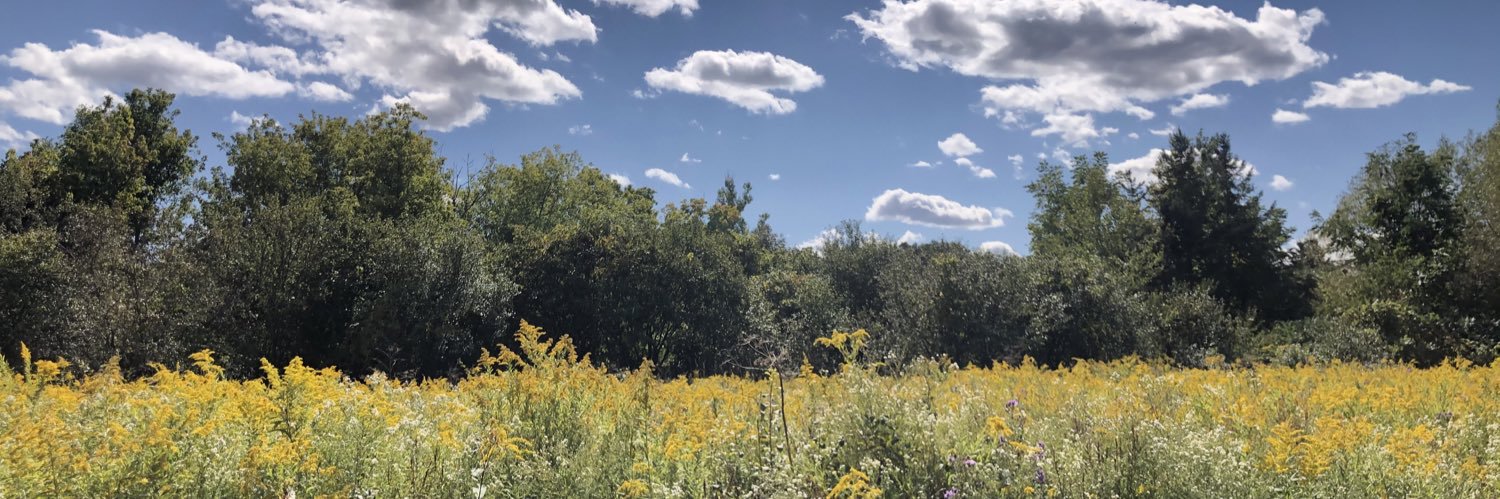 jocelynkuber's profile banner image