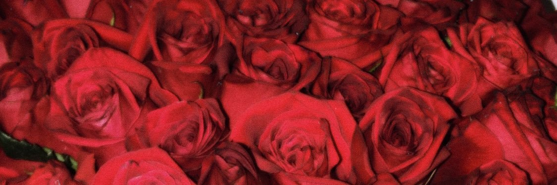 itsyamm's profile banner image