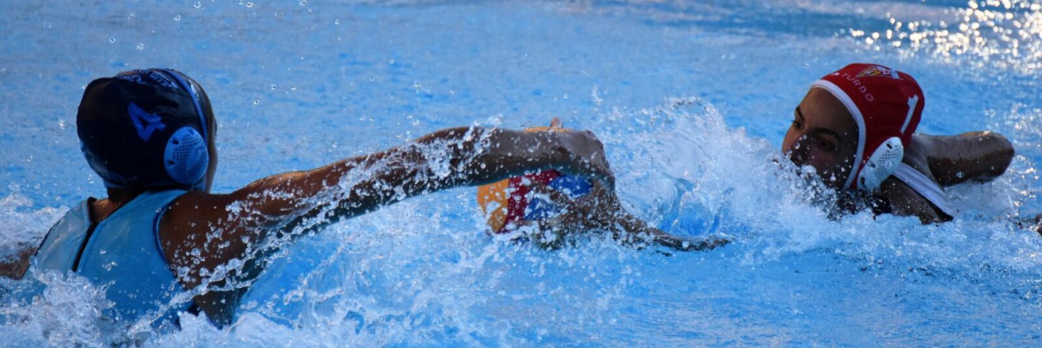 sandra domene banner