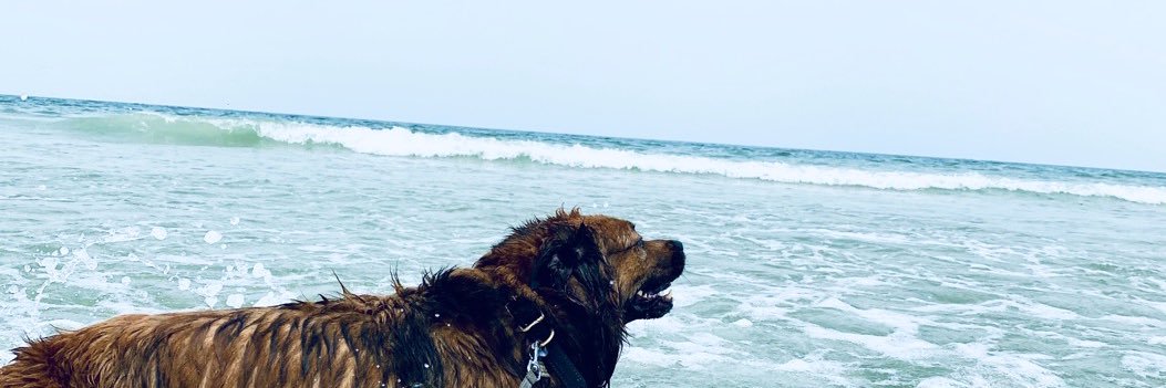 xoxoambs_'s profile banner image
