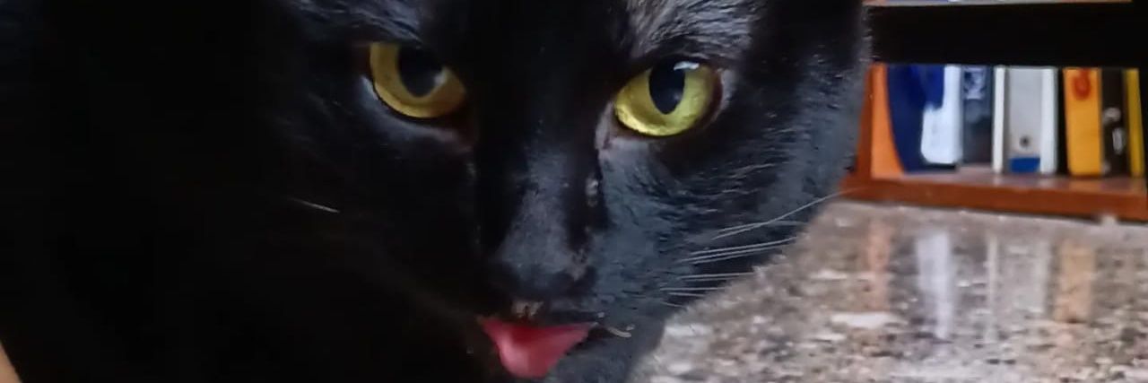 Aaronsc94's profile banner image