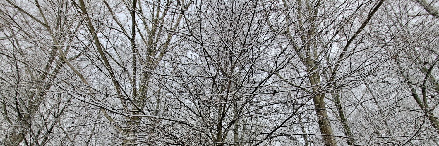 Redthom4's profile banner image