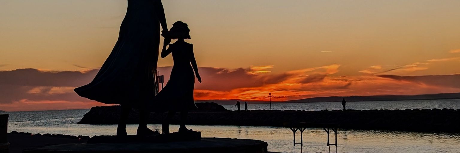 BMS Suiken master 🍶 banner