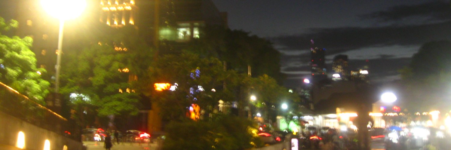 basrengkoica's profile banner image