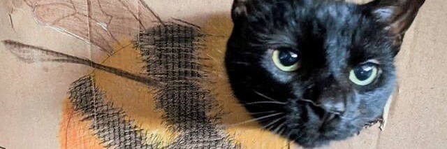 den 💟 banner