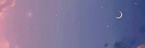 🌺 banner