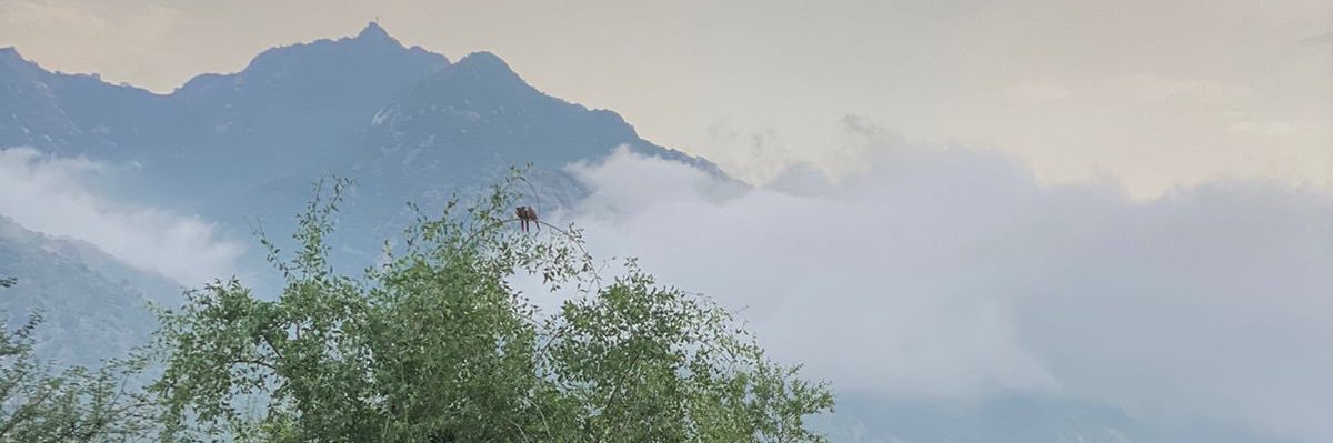 اللهُمَّ إشفِ اخي🤍 banner