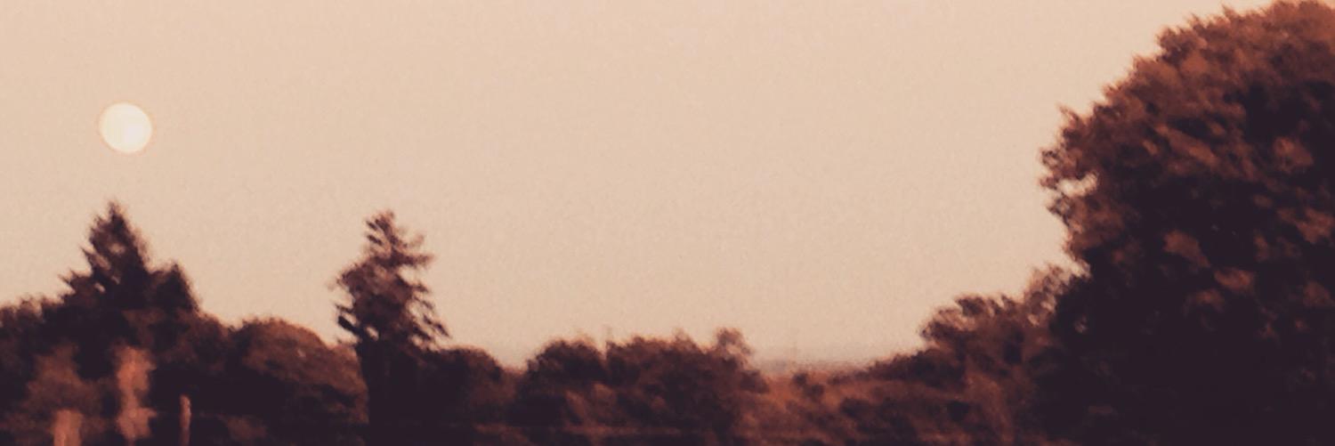 VDidine's profile banner image