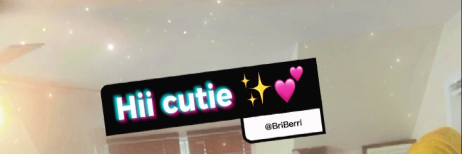 BriBerri banner